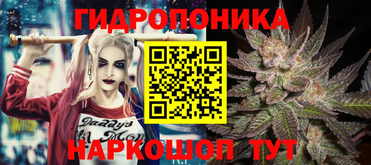 Канабис планчик Сальск